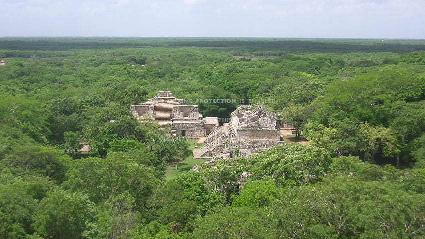 ek balam mayan forest yucatan peninsula HD wallpaper