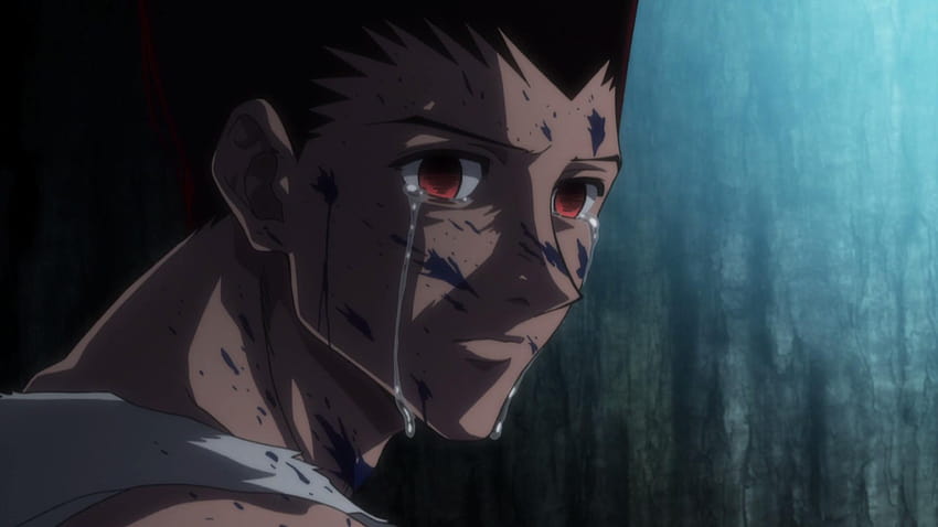 The 15 Saddest Moments From Hunter x Hunter, Ranked, gon transformation HD wallpaper
