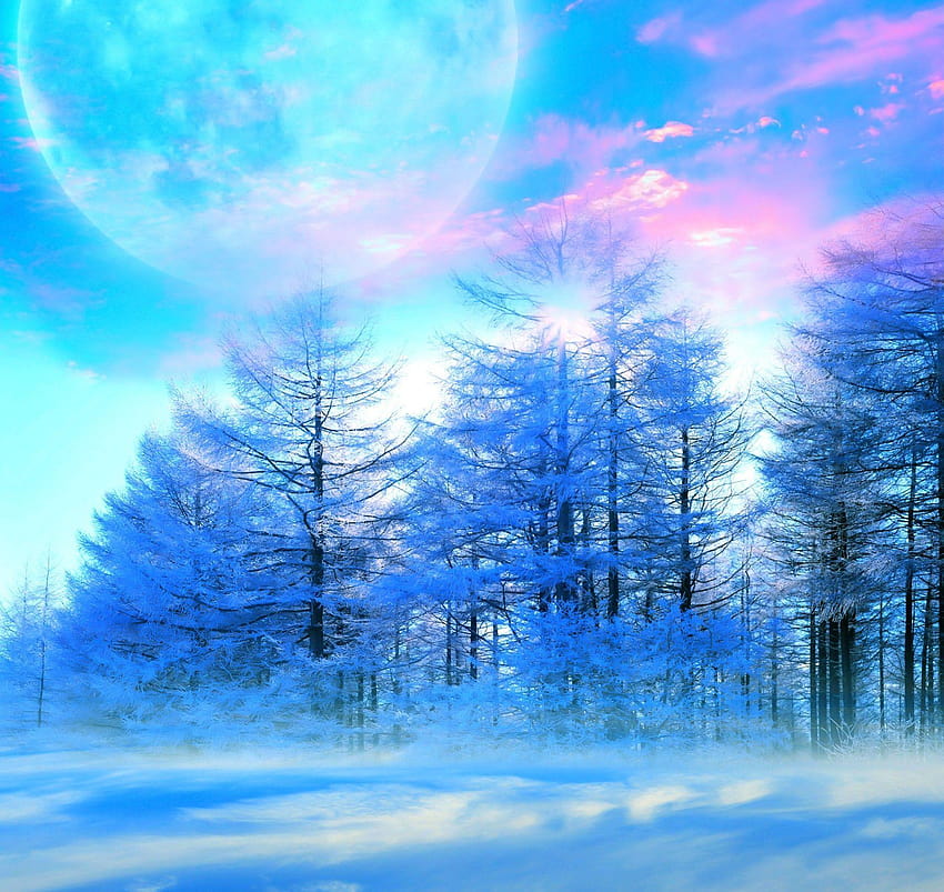 Winter Himmel Natur Bäume Schnee Mond schön blau Nebel Pink HD ...