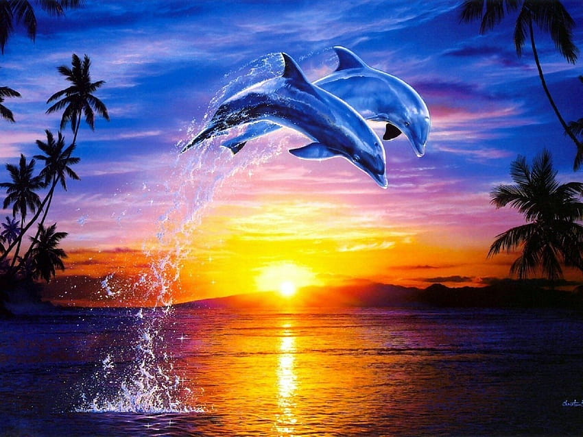 Dolphin Sunset, pôr do sol com golfinhos papel de parede HD