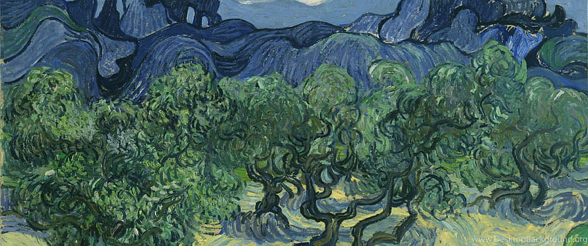 Peinture de Vincent Van Gogh Oliviers et ... Arrière-plans Fond d'écran HD
