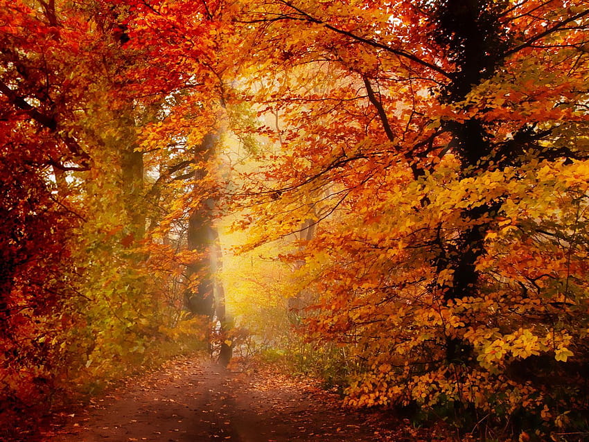 New England Fall, autumn new england HD wallpaper | Pxfuel