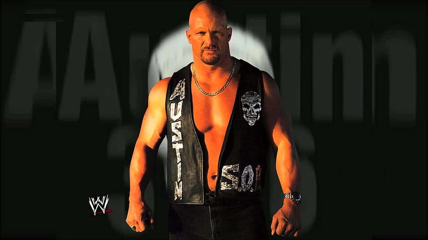 WWE Superstars Full Screen, the rock and stone cold HD wallpaper