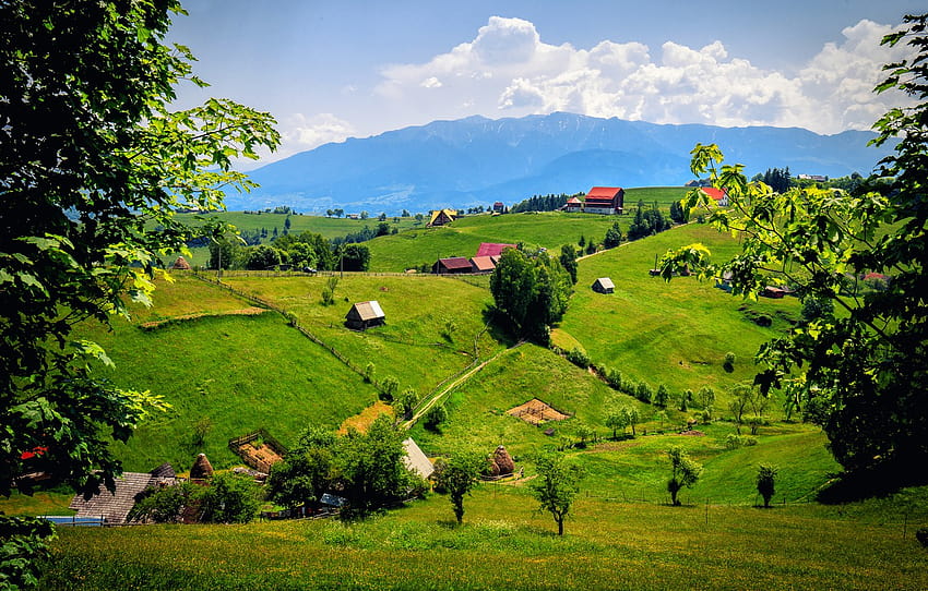 mountains, field, meadows, Romania, Brasov, Brasov , section пейзажи, braov HD wallpaper