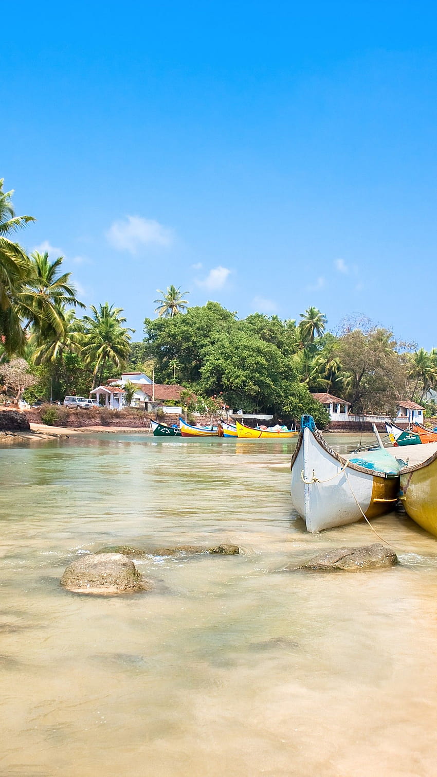 Goa, India, Indian ocean, palms, boats, goa beach phone HD phone wallpaper