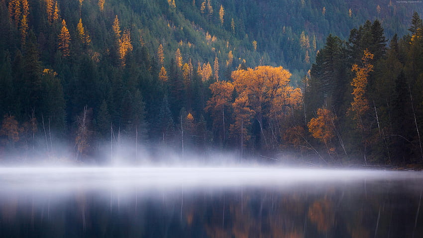 Echo Lake, forest, trees, fog, Columbia, autumn, Travel, autumn trip HD wallpaper