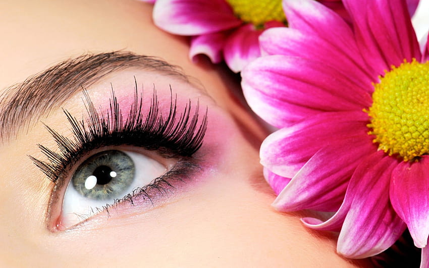 Beauty Salon Photos, Download The BEST Free Beauty Salon Stock Photos & HD  Images