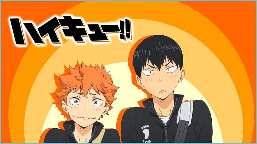 Pin by Alexandra on Manga  Haikyuu, Haikyuu manga, Manga