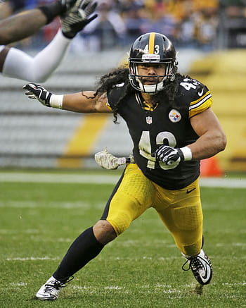 Download AllPro Pittsburgh Steeler Safety Troy Polamalu in Action Wallpaper   Wallpaperscom