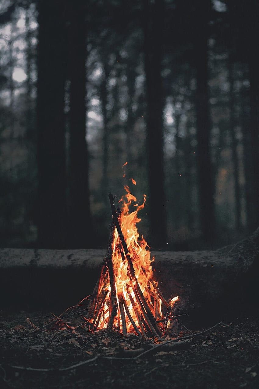 Campfire, camp fire HD phone wallpaper