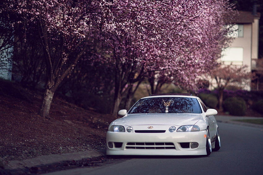 lexus sc 400 tuning car japón hellaflash calle blanca árbol sakura, autos de japón fondo de pantalla
