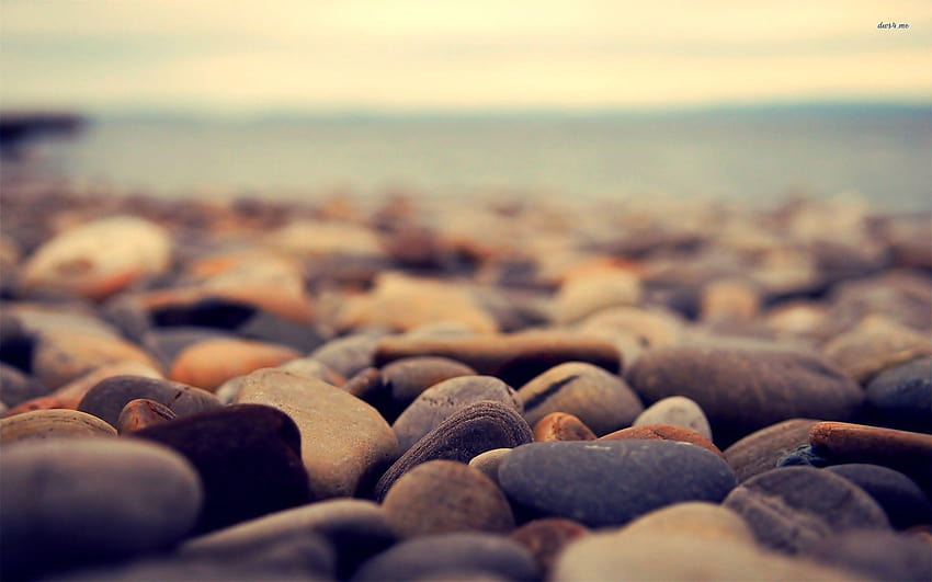 Pebbles, beach stones HD wallpaper