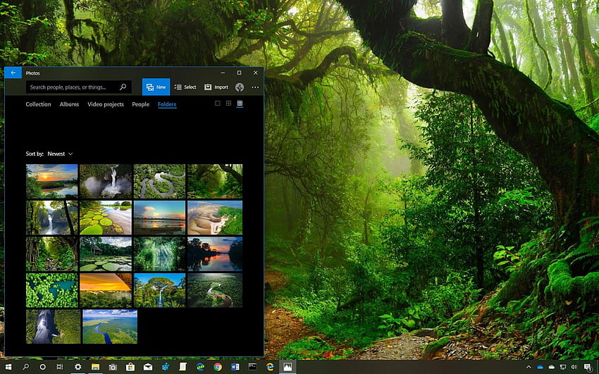 Amazon Rainforest theme for Windows 10, amazonas HD wallpaper