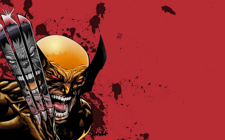 5 Ultimate Wolverine Vs. Hulk, wolverine vs deadpool HD wallpaper