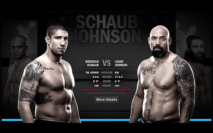 Brendan Schaub vs Lavar Johnson HD wallpaper