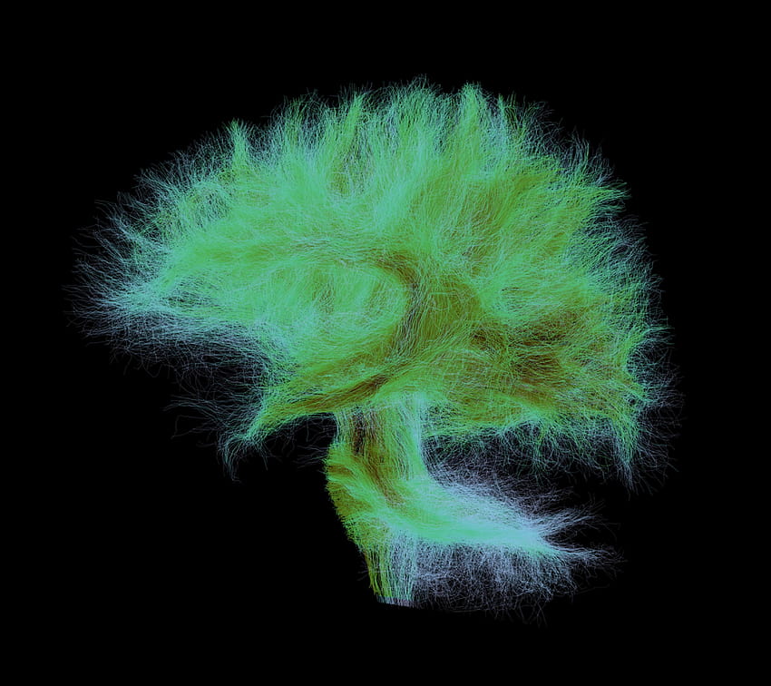 These Brain, neuralink HD wallpaper