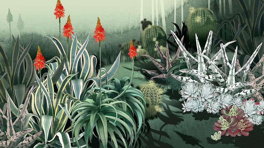 Betrachten Sie den Kaktus: Wie Sukkulenten die Welt übernahmen, farbenfrohe Kakteenästhetik HD-Hintergrundbild