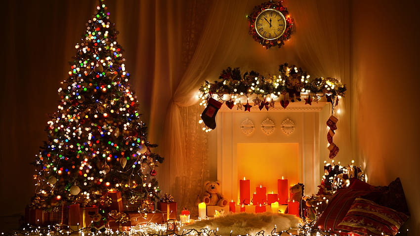 Ultra Christmas, christmas trees HD wallpaper | Pxfuel