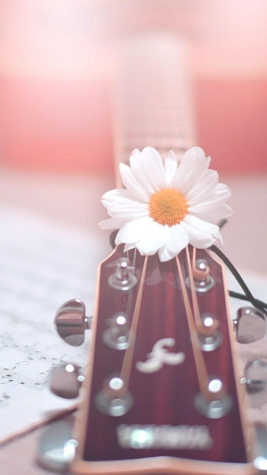 accessories, art, background, beautiful, beauty, color, colorful, decoration, fashion, fashionable, flowers, girl, girly, guitar, inspiration, kawaii, luxury, music, pastel, pink, retro, style, vintage, we heart it, white, woman, ye HD phone wallpaper