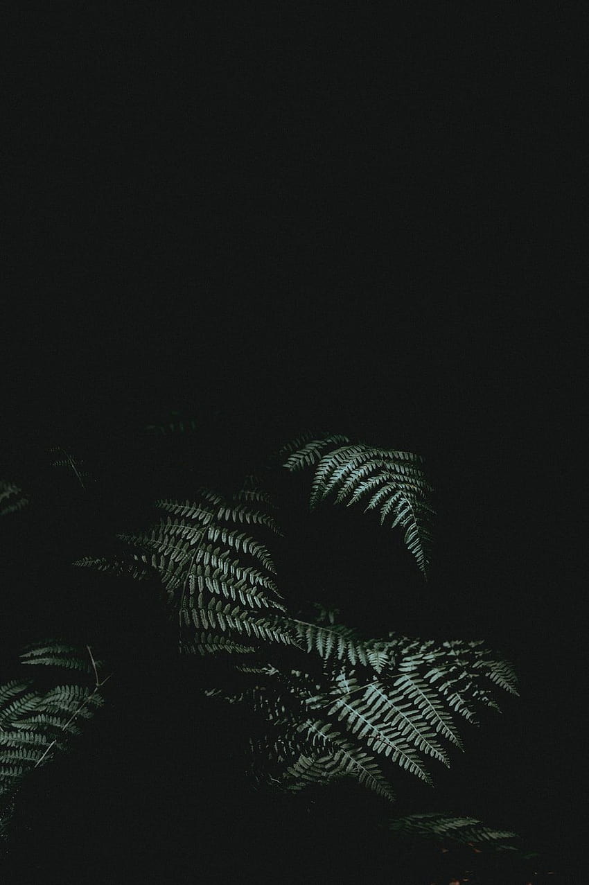 Iphone Dunkel, dunkler Ton HD-Handy-Hintergrundbild