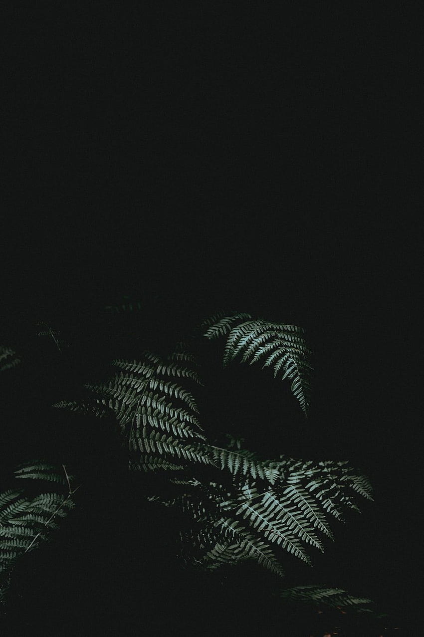 Iphone Dark, tono oscuro fondo de pantalla del teléfono