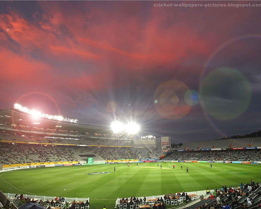 Cricket Stadium, cricket pitch HD wallpaper