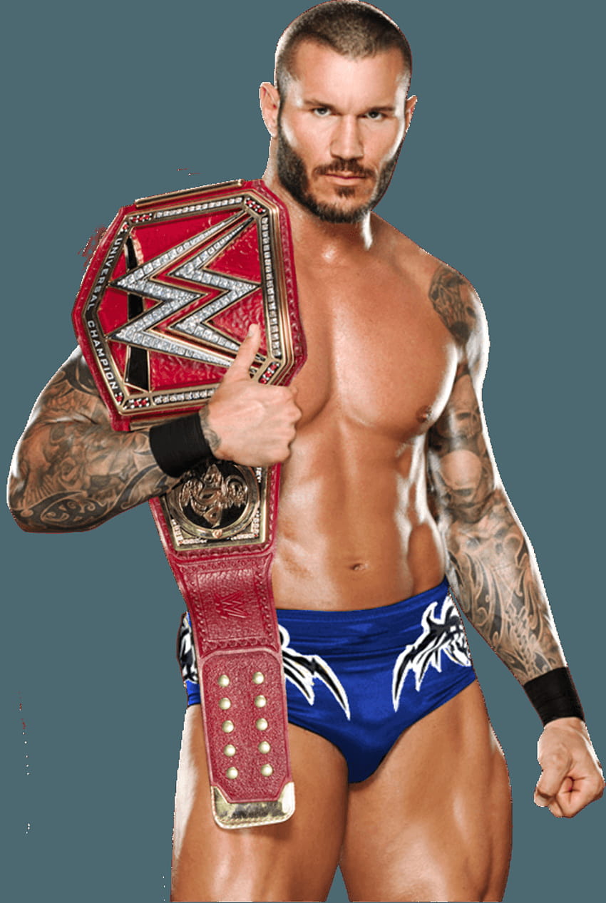 Randy Orton WWE Universal Champion by Nibble, wwe universal championship HD  phone wallpaper | Pxfuel
