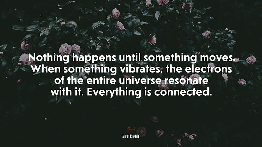 672451 Rien ne se passe tant que quelque chose ne bouge pas. Quand quelque chose vibre, les électrons de tout l'univers résonnent avec lui. Tout est connecté. Fond d'écran HD