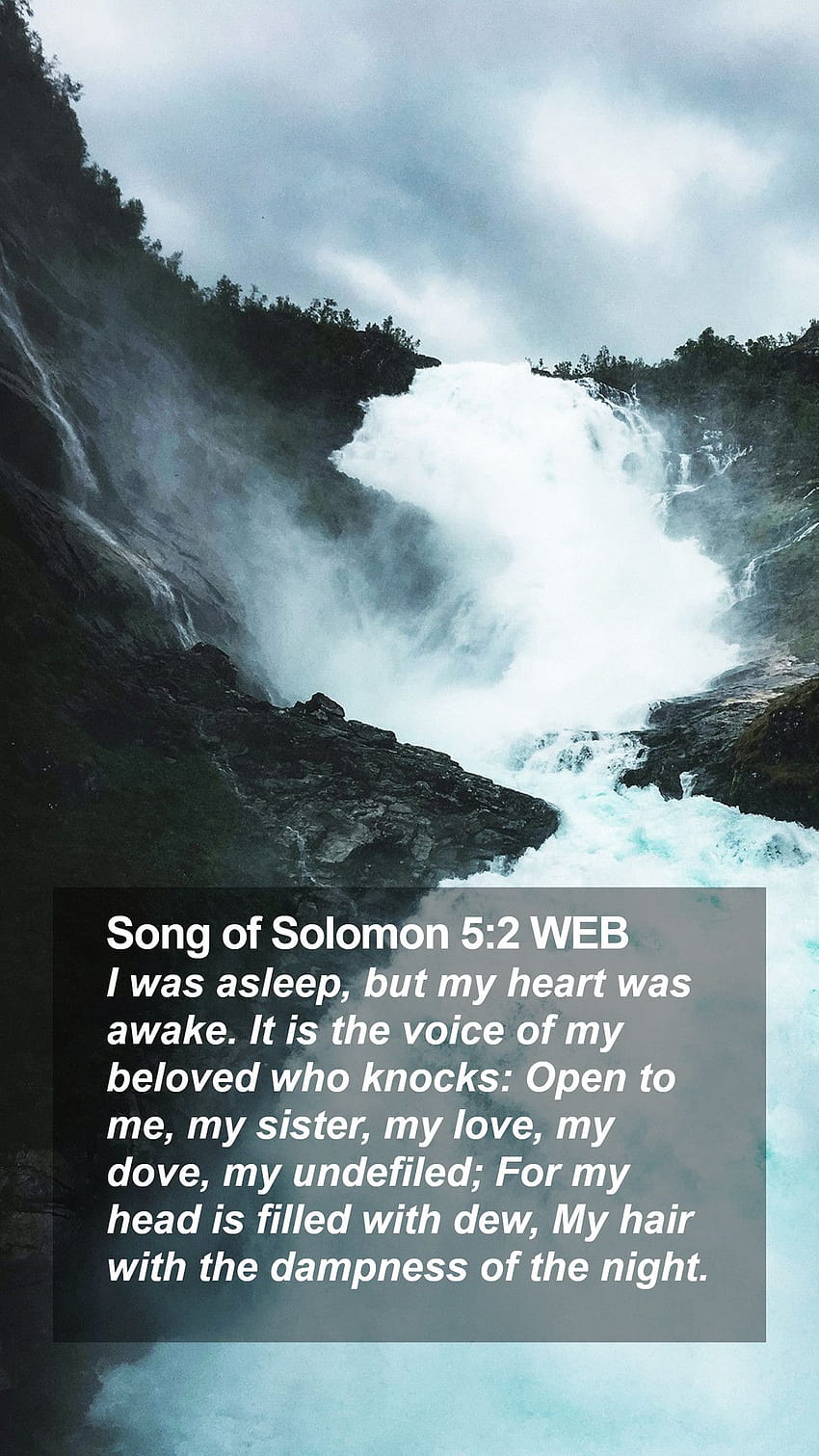 Song of Solomon 5:2 WEB Mobile Phone, my head my heart HD phone wallpaper