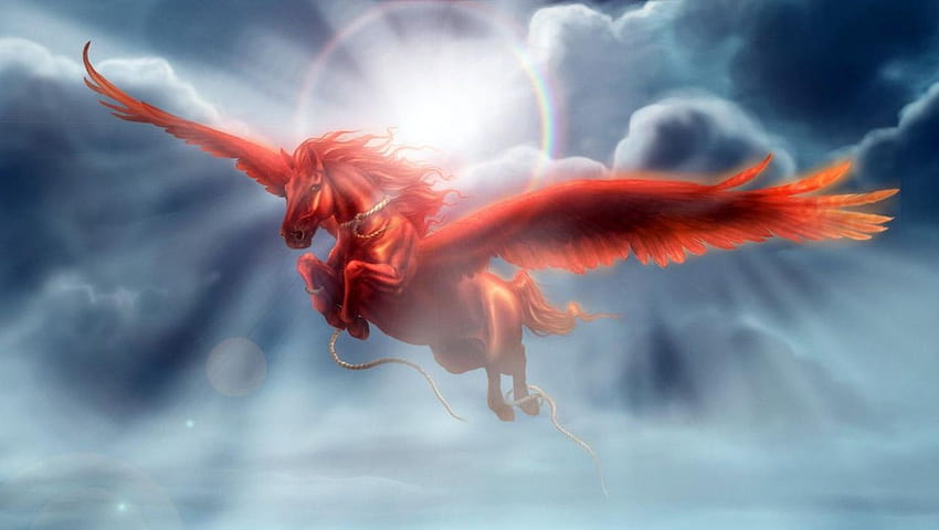 Flying Horse, beautiful creature HD wallpaper