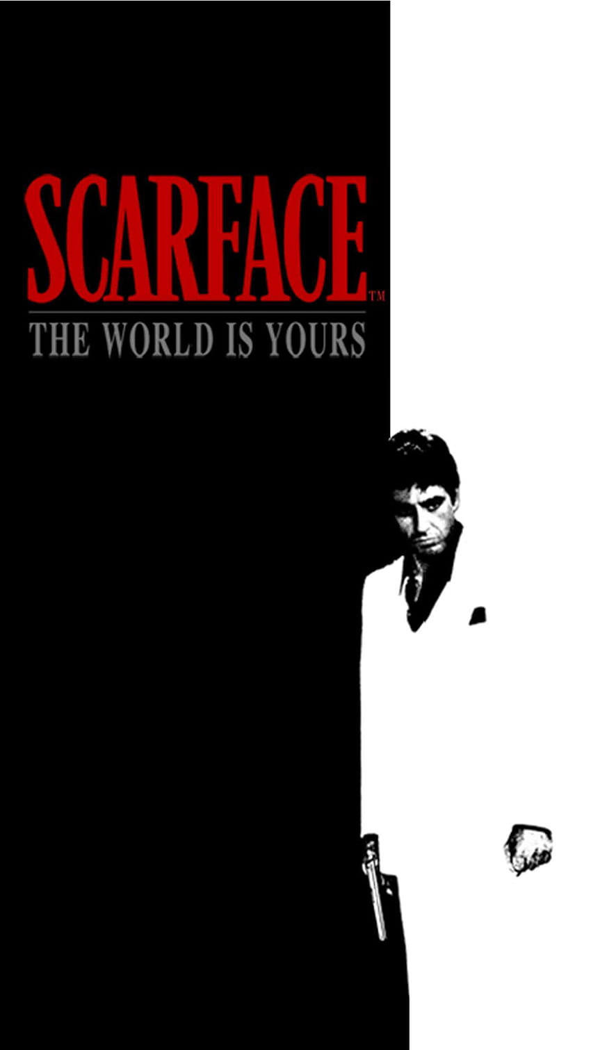 Mejores 3 El mundo es tuyo Scarface on Hip fondo de pantalla del teléfono |  Pxfuel