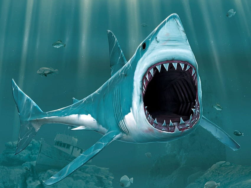 Mammoth Deep Blue shark photos go viral – Boston Herald