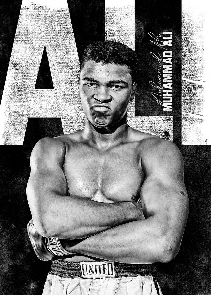 Pin on Boxing, cassius clay HD phone wallpaper