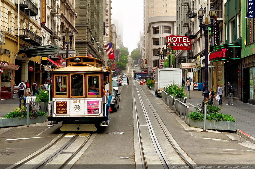 San Francisco Trolley Phone on Dog HD 월페이퍼