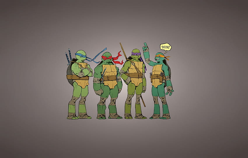 ninja turtles raphael and leonardo