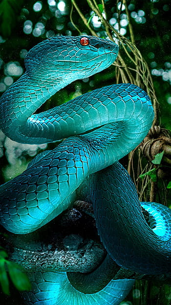 HD blue snake wallpapers  Peakpx