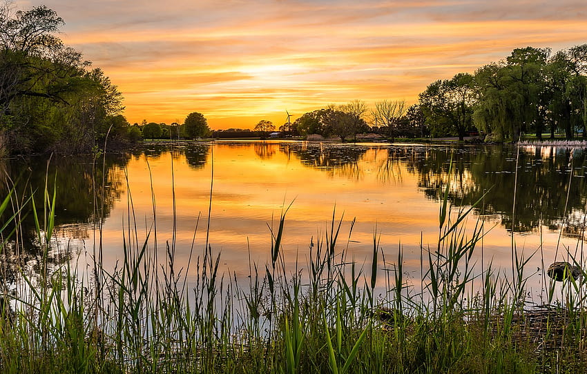 Grass, the sun, sunset, lake, shore, pond , section пейзажи, sunset ...