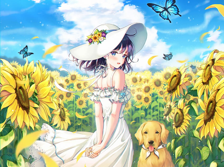 3000x2230 Anime Girl, Summer Dress, Dog, Sunflower Field, sunflower ...