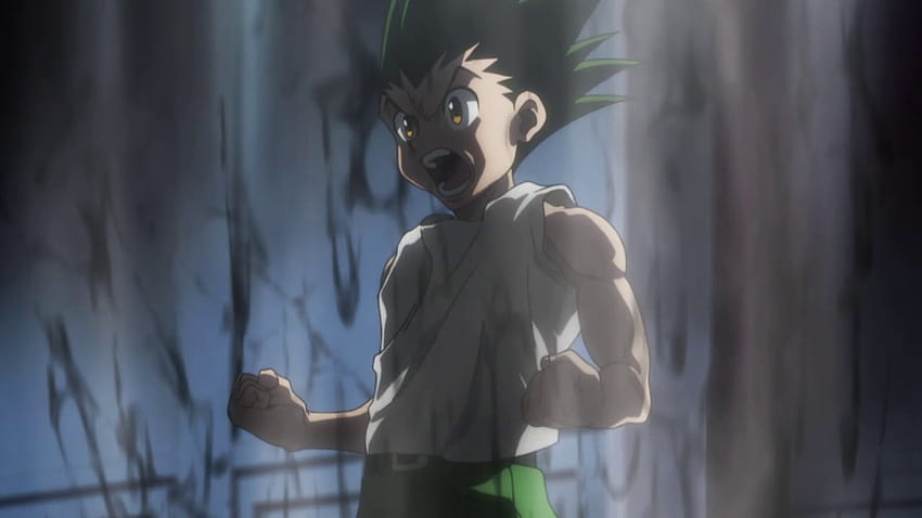 Gon Rage posted by Christopher Johnson, gon angry HD wallpaper