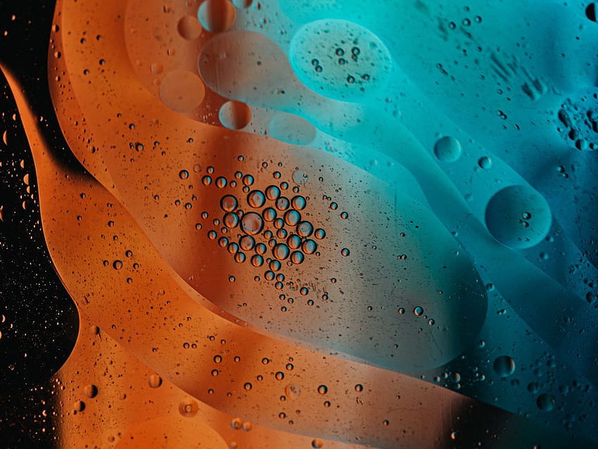 1024x768 water bubbles abstraction circle , backgrounds Standard 4:3, water bubble circle HD wallpaper