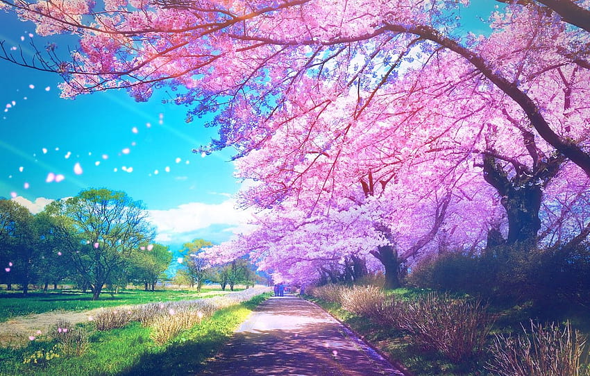 Parque, gente, primavera, Sakura ... anime.goodfon, parque de anime fondo de pantalla