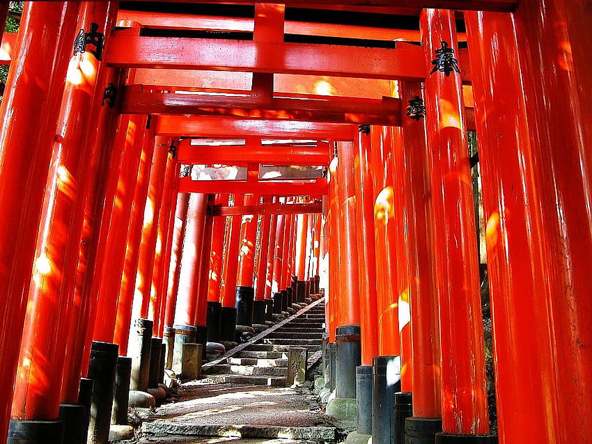 Torii Tag : Shrine Gate Temple Japanese Forest Japan Torii, torii gate HD wallpaper