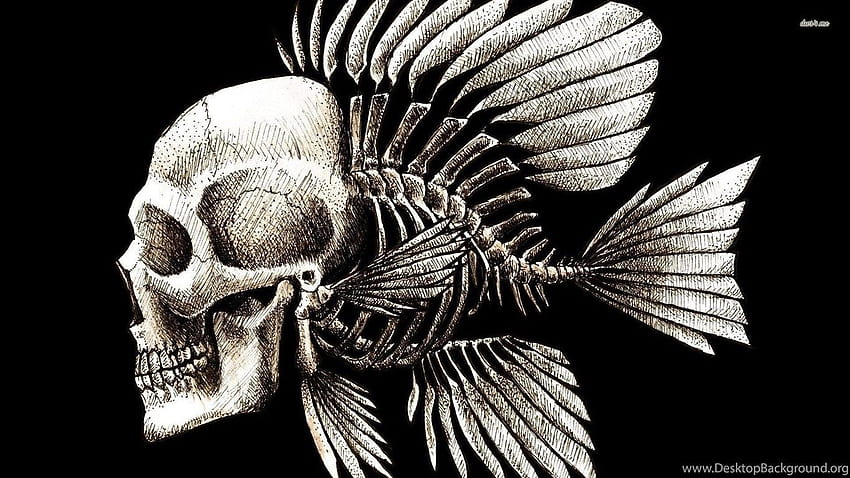 Ludzka czaszka z rybą Szkielet Sztuka cyfrowa ... Tła Tapeta HD