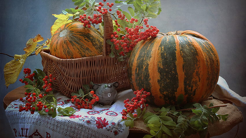 Sorbus Pumpkin Wicker basket Food Still, pumpkins and basket HD wallpaper
