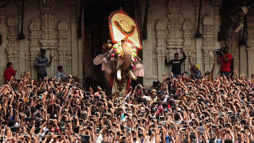 Gwiezdne słonie z Kerali są hitem internetu, mangalamkunnu karnan Tapeta HD