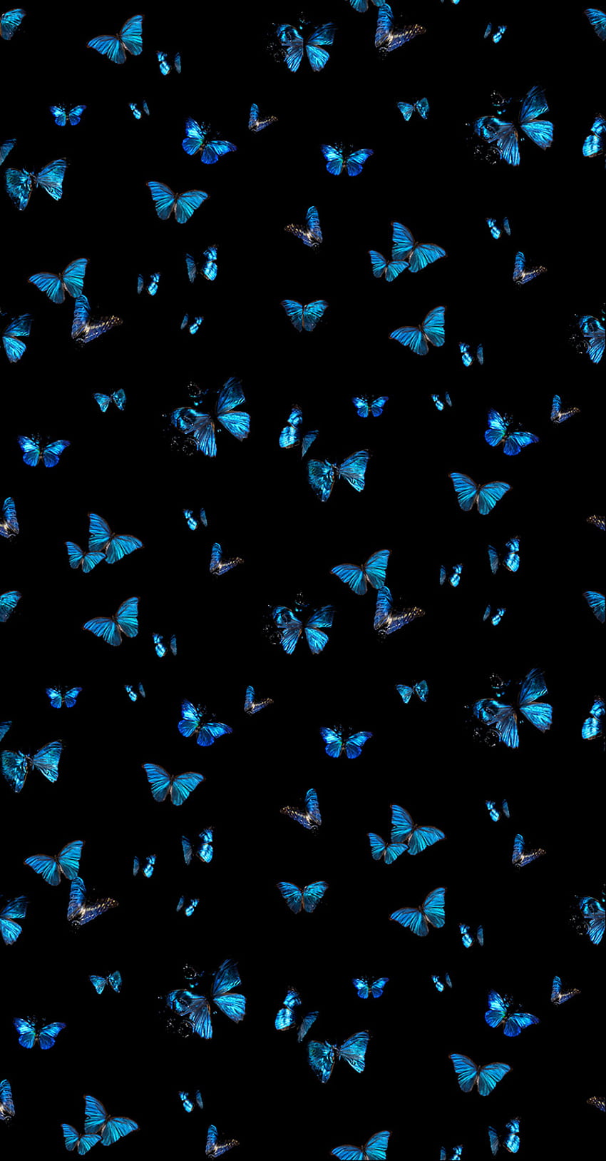 스튜디오에서 디자인한 Morpho Peleides & Amathonte Butterfly in 무리 실크 마감, 펄 잉크 레이어, 모르포 나비 HD 전화 배경 화면