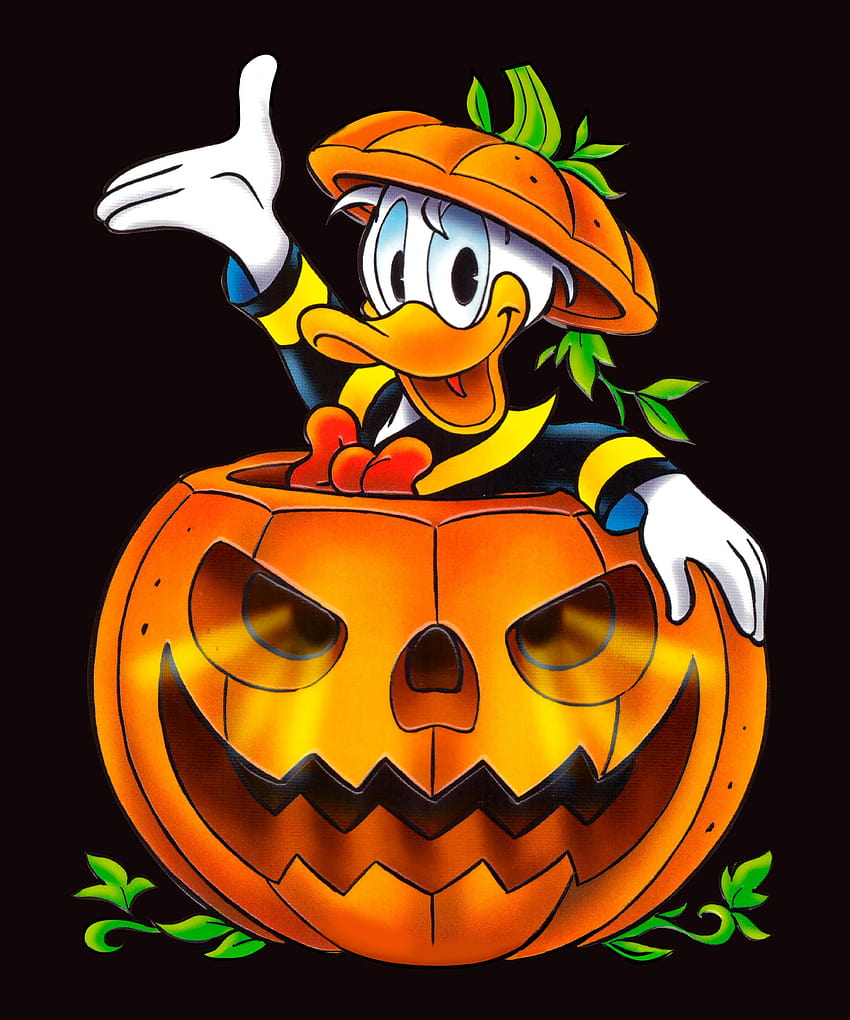 Donald Pumpkin Halloween, halloween donald duck HD phone wallpaper