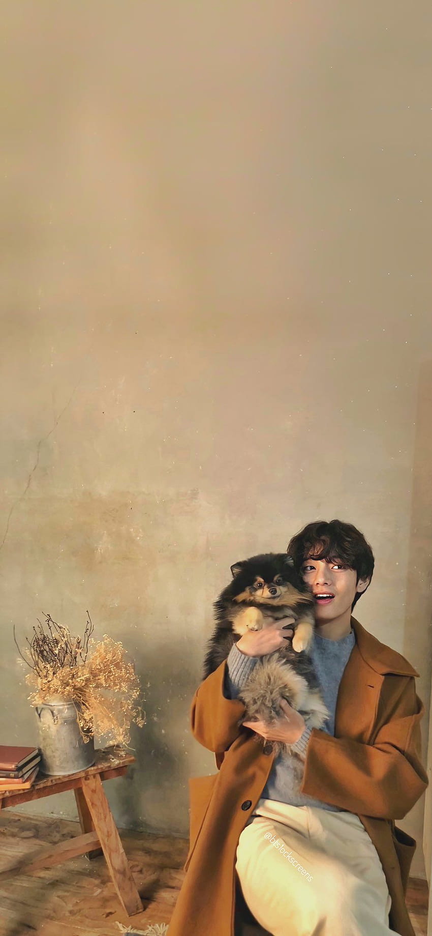 alive⁷ on Twitter:, taehyung and his dog HD phone wallpaper