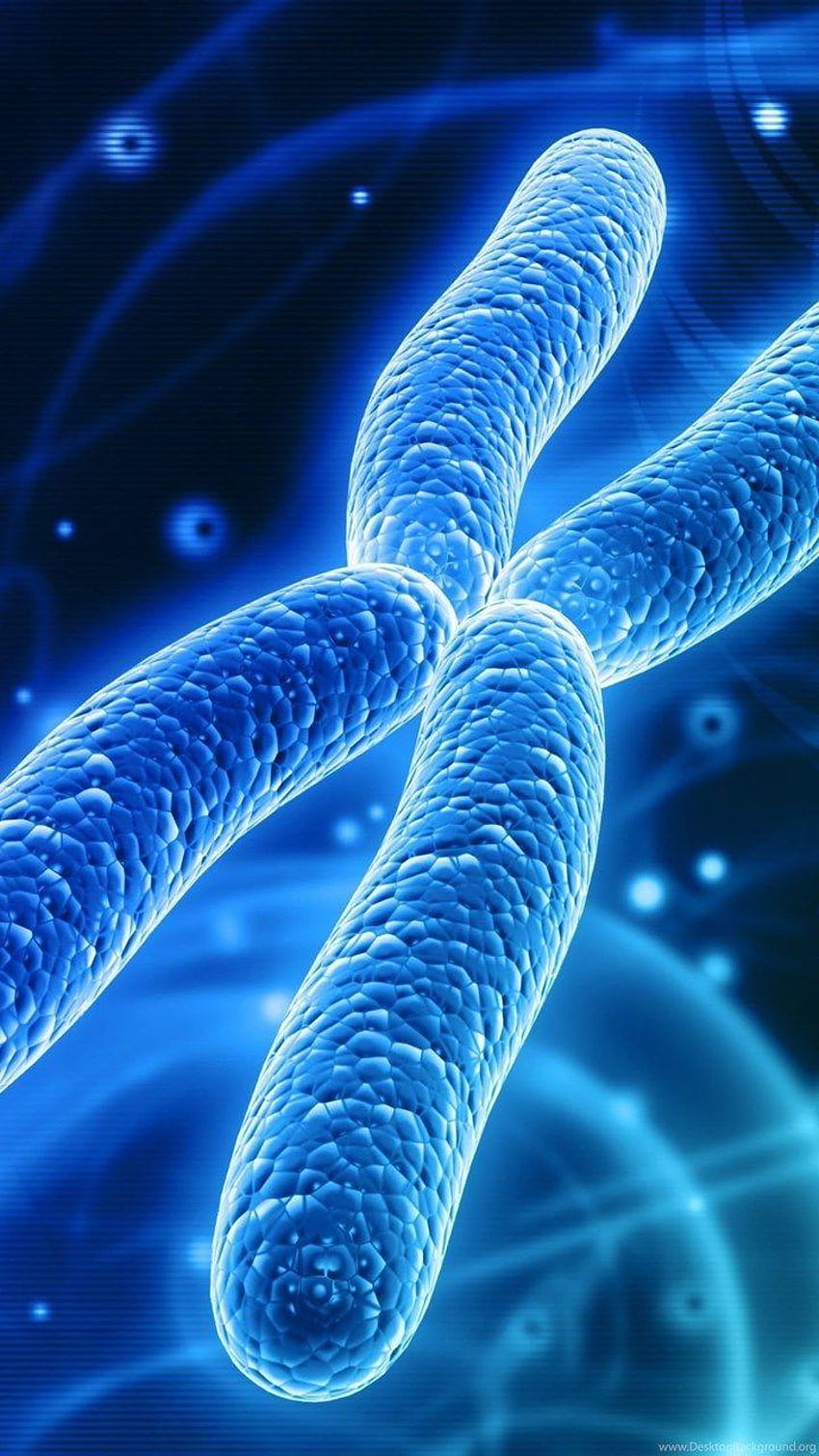 Chromosomen-Dna-Muster Genetisch 3 d Psychedelisch HD-Handy-Hintergrundbild