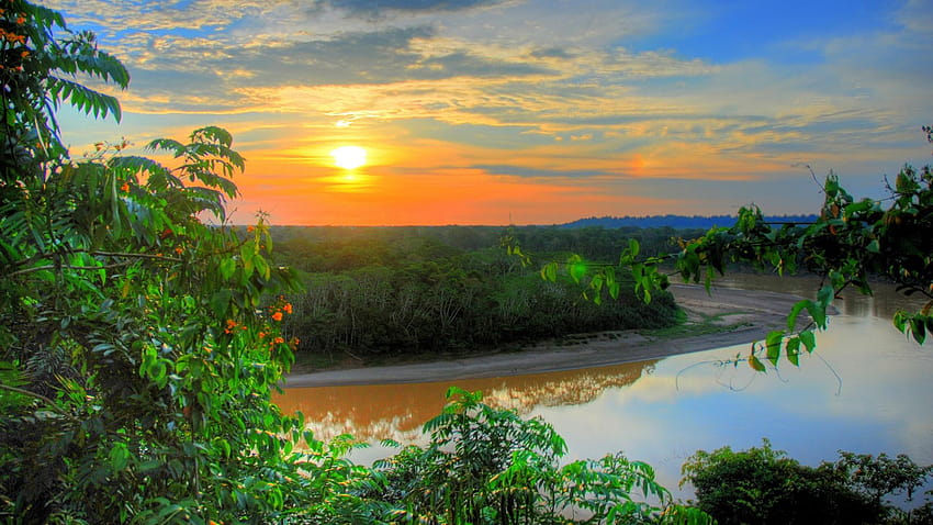 アマゾン川、朝の川 高画質の壁紙